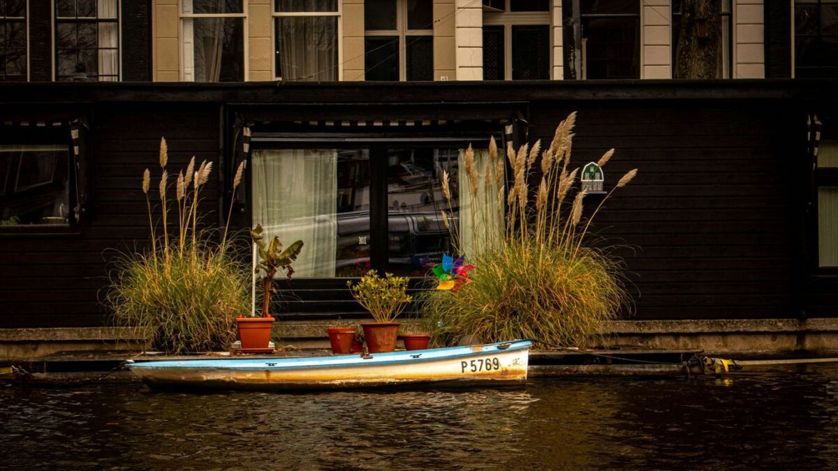 green leaf plants in brown post near house