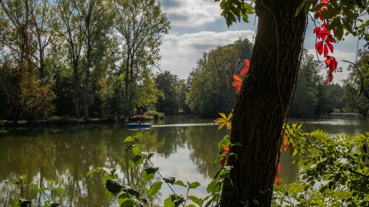 green trees beside lake under cloudy sky during daytime