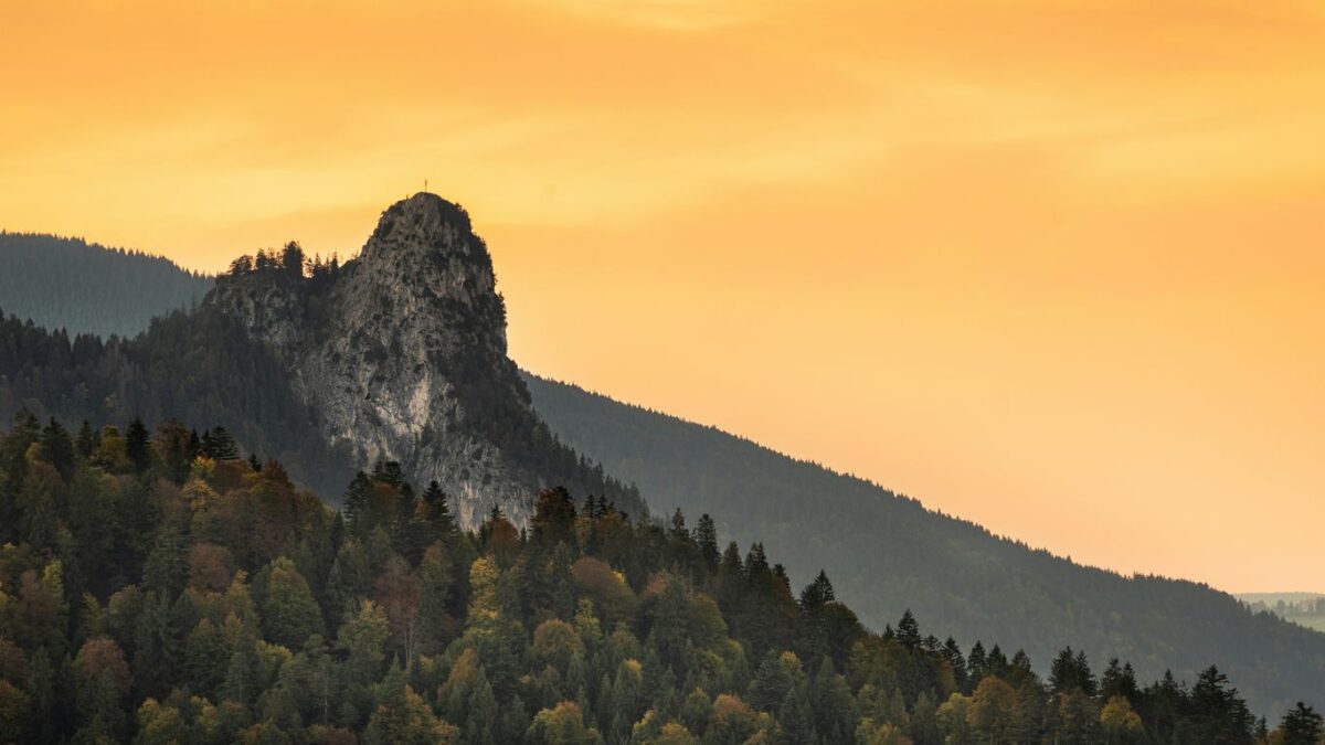 green trees near mountain during daytime
