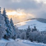 Ruhige verschneite Landschaft im Sauerland mit Bäumen und Hügeln.
