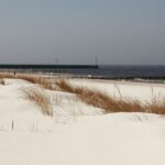 a snow covered field