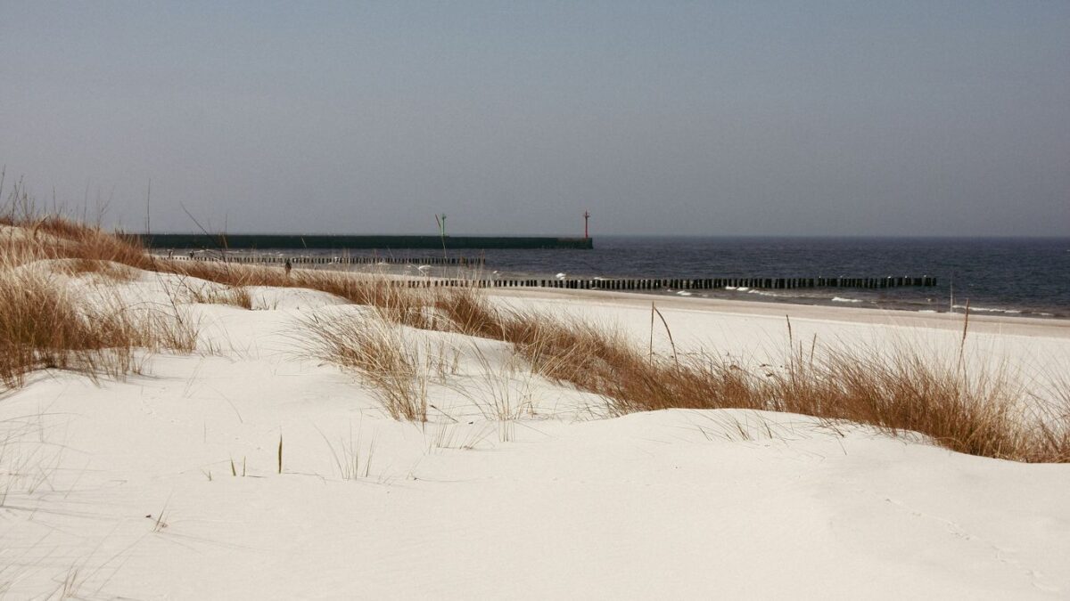 a snow covered field