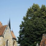 brown and gray concrete building near green trees under blue sky during daytime