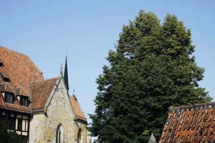 brown and gray concrete building near green trees under blue sky during daytime