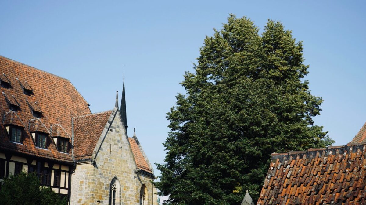 brown and gray concrete building near green trees under blue sky during daytime