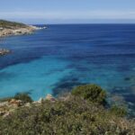 green trees near blue sea under blue sky during daytime