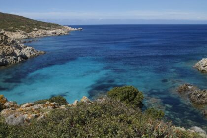 green trees near blue sea under blue sky during daytime