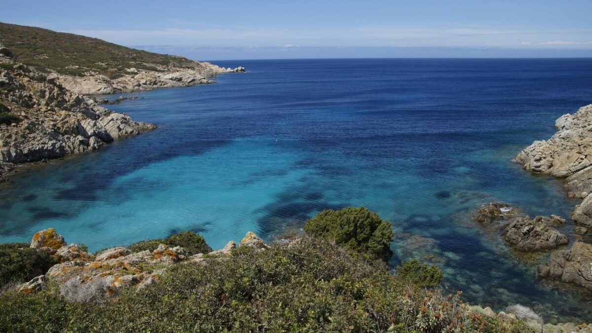 green trees near blue sea under blue sky during daytime