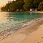 Ruhiger Ostseestrand mit klarem Wasser und grünen Bäumen.