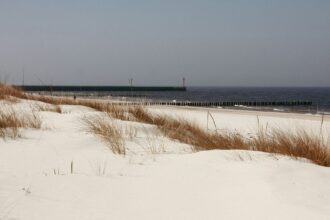 a snow covered field