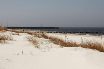 a snow covered field