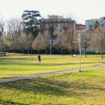 a park with a few people walking around it