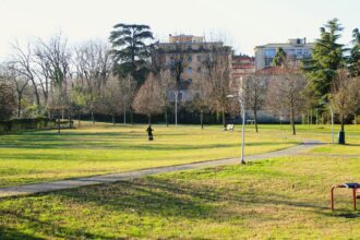 a park with a few people walking around it