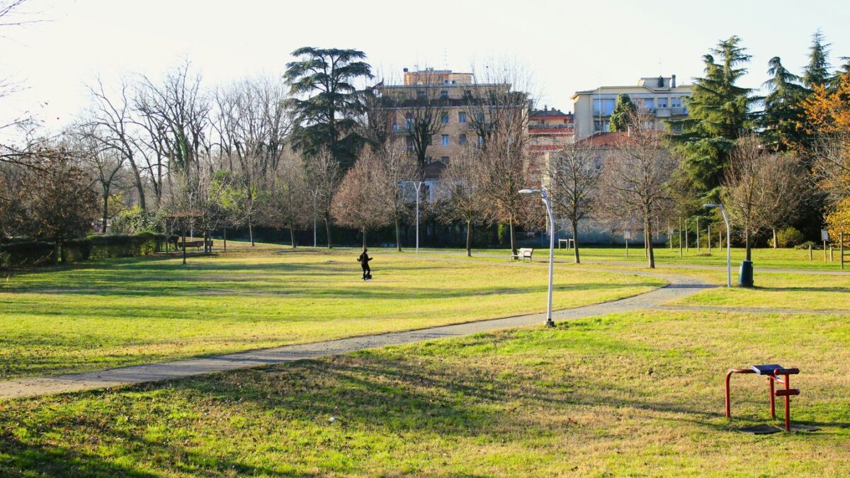 a park with a few people walking around it