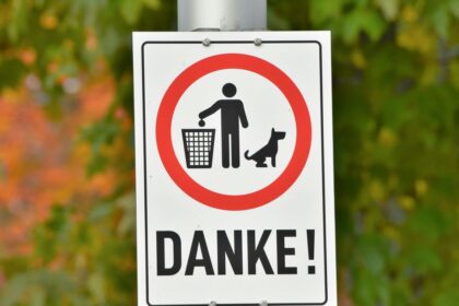 a street sign with a dog and a man in a basket